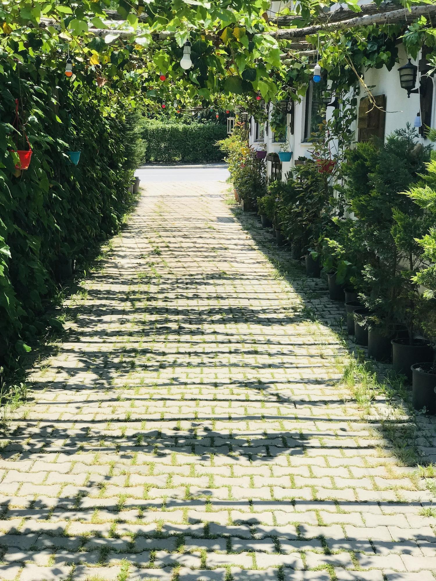 Sahra Butik Hotel Sapanca Exteriér fotografie